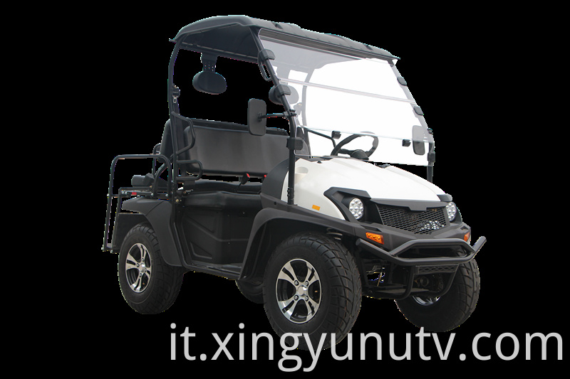 2021 Vendita calda di alta qualità 5kw Electric UTV EEC CEE Electric Golf Cart